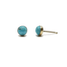 Turquoise studs - West Coast Cowgirl